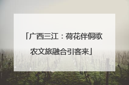 广西三江：荷花伴侗歌 农文旅融合引客来