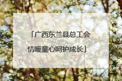 广西东兰县总工会情暖童心呵护成长