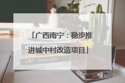 广西南宁：稳步推进城中村改造项目