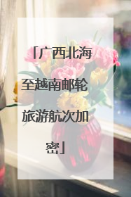 广西北海至越南邮轮旅游航次加密