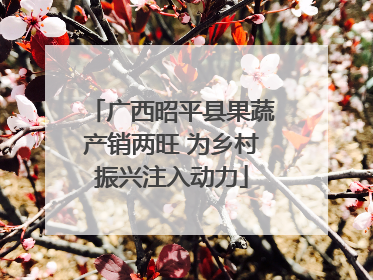 广西昭平县果蔬产销两旺 为乡村振兴注入动力