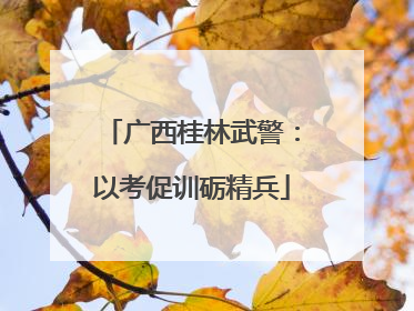 广西桂林武警：以考促训砺精兵
