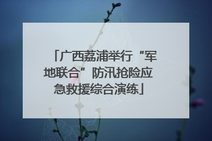 广西荔浦举行“军地联合”防汛抢险应急救援综合演练