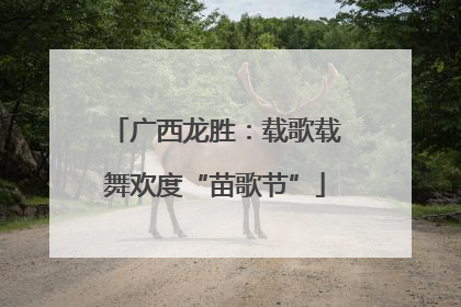 广西龙胜：载歌载舞欢度“苗歌节”