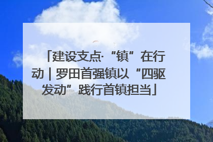 建设支点·“镇”在行动｜罗田首强镇以“四驱发动”践行首镇担当