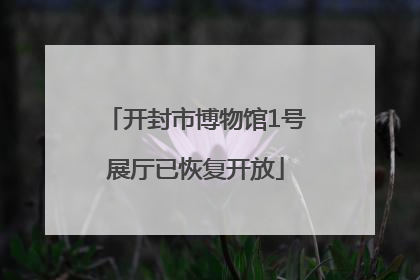 开封市博物馆1号展厅已恢复开放