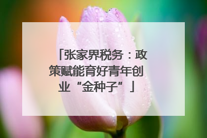 张家界税务：政策赋能育好青年创业“金种子”