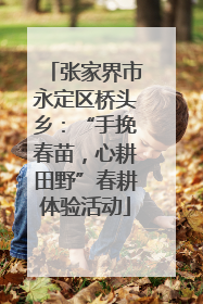 张家界市永定区桥头乡：“手挽春苗，心耕田野”春耕体验活动