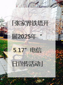 张家界铁塔开展2025年“5.17”电信日宣传活动