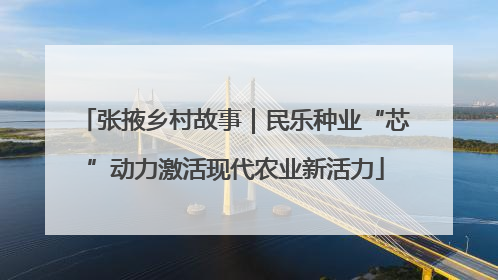 张掖乡村故事｜民乐种业“芯”动力激活现代农业新活力