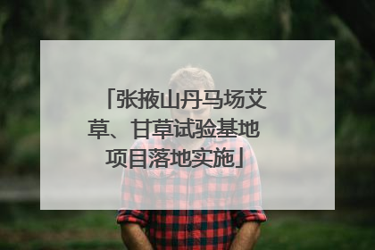 张掖山丹马场艾草、甘草试验基地项目落地实施