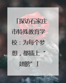 探访石家庄市特殊教育学校：为每个梦想，都插上“翅膀”