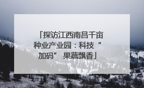 探访江西南昌千亩种业产业园：科技“加码” 果蔬飘香