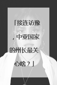 接连访豫，中亚国家的州长最关心啥？