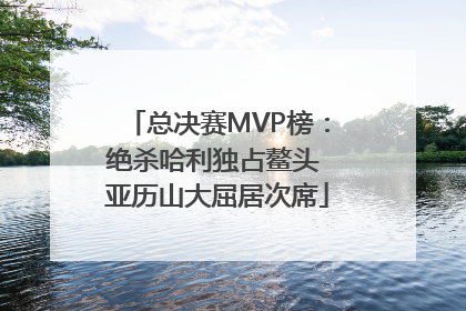 总决赛MVP榜：绝杀哈利独占鳌头 亚历山大屈居次席