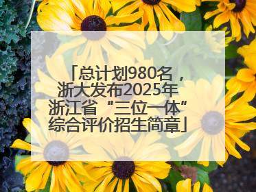 总计划980名，浙大发布2025年浙江省“三位一体”综合评价招生简章