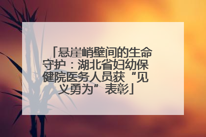悬崖峭壁间的生命守护：湖北省妇幼保健院医务人员获“见义勇为”表彰