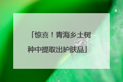 惊喜！青海乡土树种中提取出护肤品