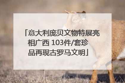 意大利庞贝文物特展亮相广西 103件/套珍品再现古罗马文明