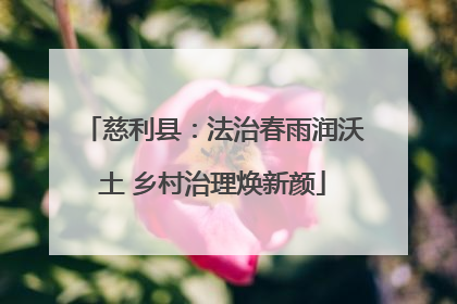 慈利县：法治春雨润沃土 乡村治理焕新颜