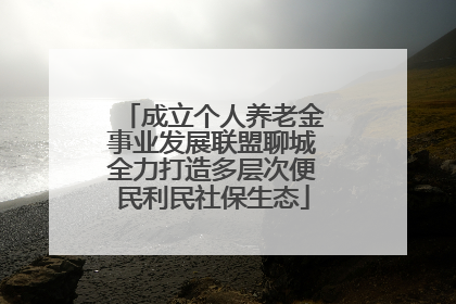 成立个人养老金事业发展联盟聊城全力打造多层次便民利民社保生态