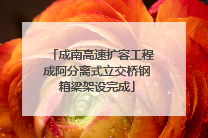 成南高速扩容工程成阿分离式立交桥钢箱梁架设完成