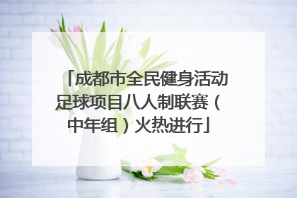 成都市全民健身活动足球项目八人制联赛（中年组）火热进行