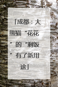 成都：大熊猫“花花”的“剩饭”有了新用途