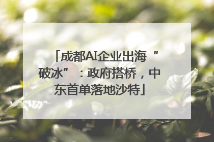 成都AI企业出海“破冰”：政府搭桥，中东首单落地沙特