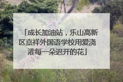 成长加油站，乐山高新区嘉祥外国语学校用爱浇灌每一朵迟开的花