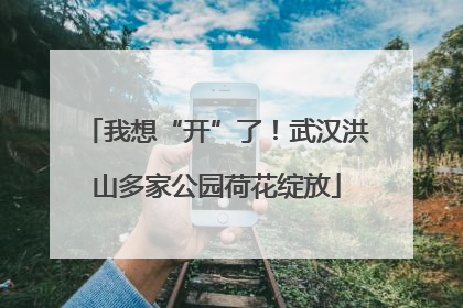 我想“开”了！武汉洪山多家公园荷花绽放