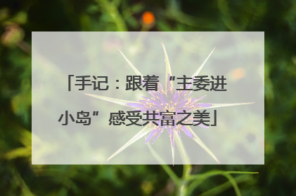 手记：跟着“主委进小岛”感受共富之美