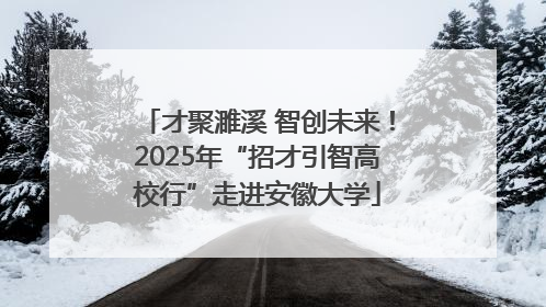 才聚濉溪 智创未来！2025年“招才引智高校行”走进安徽大学