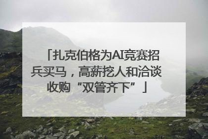 扎克伯格为AI竞赛招兵买马，高薪挖人和洽谈收购“双管齐下”