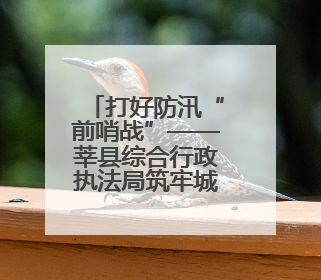 打好防汛“前哨战”——莘县综合行政执法局筑牢城区防汛安全防线