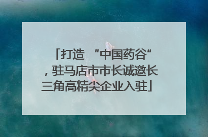 打造 “中国药谷”，驻马店市市长诚邀长三角高精尖企业入驻