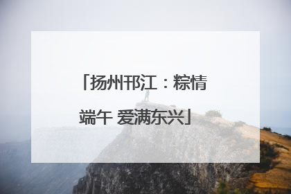 扬州邗江：粽情端午 爱满东兴