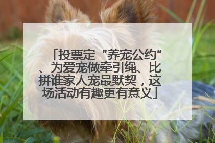 投票定“养宠公约”、为爱宠做牵引绳、比拼谁家人宠最默契，这场活动有趣更有意义