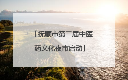 抚顺市第二届中医药文化夜市启动