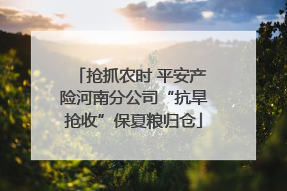 抢抓农时 平安产险河南分公司“抗旱抢收”保夏粮归仓