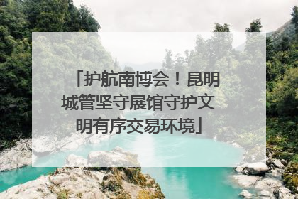 护航南博会！昆明城管坚守展馆守护文明有序交易环境
