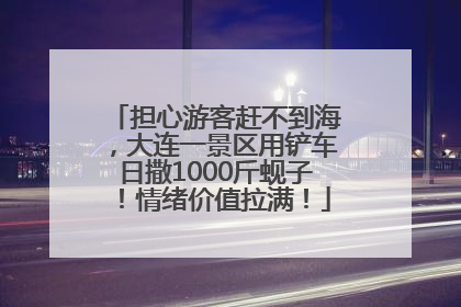 担心游客赶不到海，大连一景区用铲车日撒1000斤蚬子！情绪价值拉满！