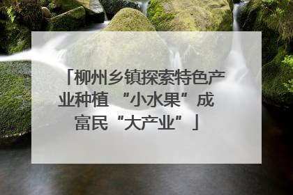 柳州乡镇探索特色产业种植 “小水果”成富民“大产业”