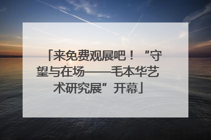 来免费观展吧！“守望与在场——毛本华艺术研究展”开幕