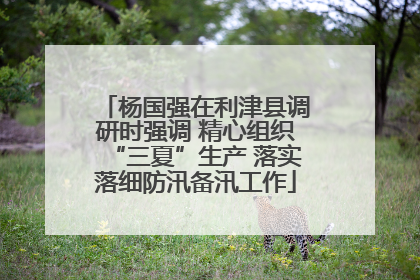 杨国强在利津县调研时强调 精心组织“三夏”生产 落实落细防汛备汛工作