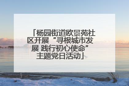 杨园街道欧景苑社区开展“寻根城市发展 践行初心使命”主题党日活动