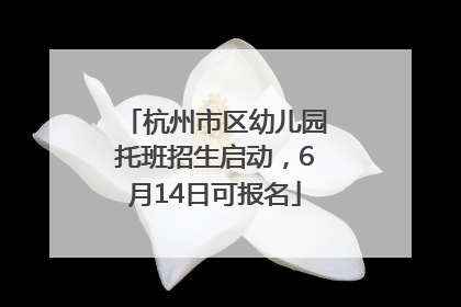 杭州市区幼儿园托班招生启动，6月14日可报名