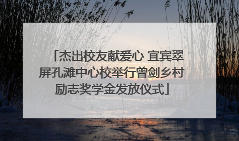 杰出校友献爱心 宜宾翠屏孔滩中心校举行曾剑乡村励志奖学金发放仪式