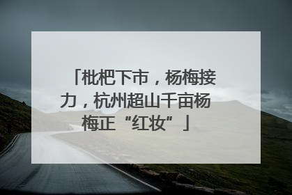 枇杷下市，杨梅接力，杭州超山千亩杨梅正“红妆”