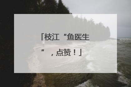 枝江“鱼医生”，点赞！